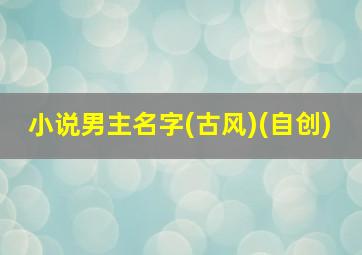 小说男主名字(古风)(自创)