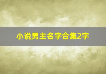 小说男主名字合集2字