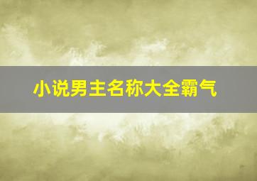 小说男主名称大全霸气