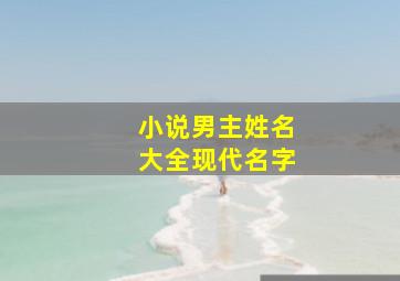 小说男主姓名大全现代名字