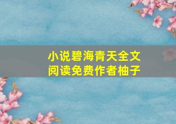 小说碧海青天全文阅读免费作者柚子