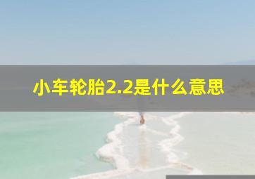 小车轮胎2.2是什么意思