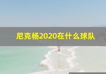 尼克杨2020在什么球队