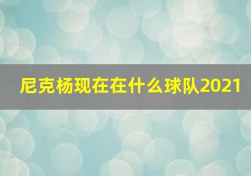 尼克杨现在在什么球队2021