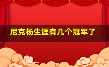 尼克杨生涯有几个冠军了