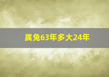 属兔63年多大24年