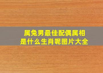 属兔男最佳配偶属相是什么生肖呢图片大全