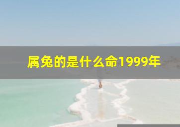 属兔的是什么命1999年