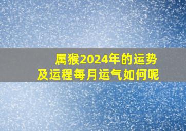 属猴2024年的运势及运程每月运气如何呢