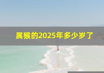 属猴的2025年多少岁了