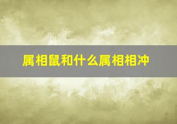 属相鼠和什么属相相冲