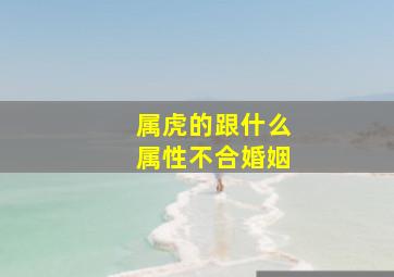 属虎的跟什么属性不合婚姻