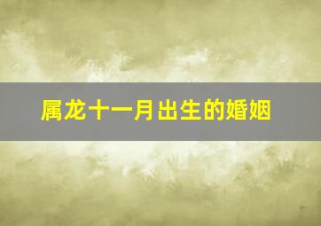 属龙十一月出生的婚姻