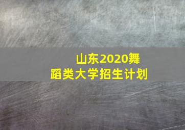 山东2020舞蹈类大学招生计划