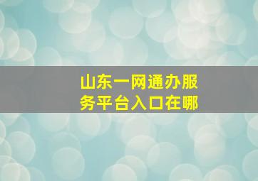 山东一网通办服务平台入口在哪