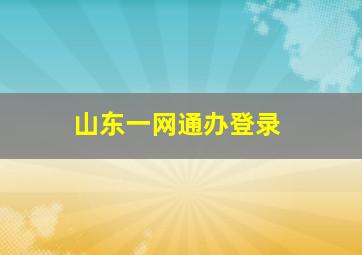 山东一网通办登录