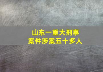 山东一重大刑事案件涉案五十多人