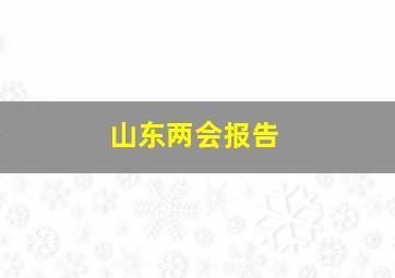 山东两会报告