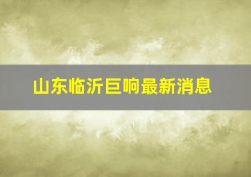 山东临沂巨响最新消息