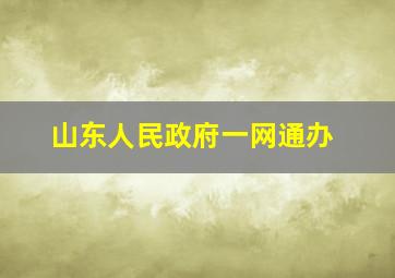 山东人民政府一网通办