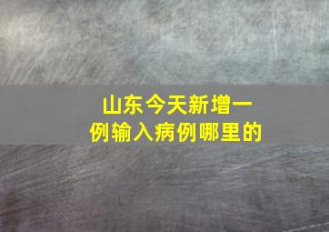 山东今天新增一例输入病例哪里的