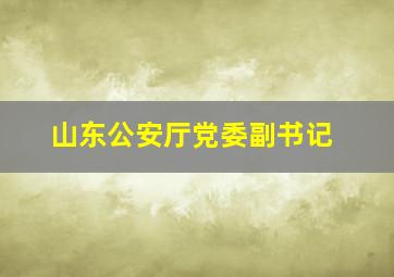 山东公安厅党委副书记