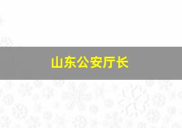 山东公安厅长