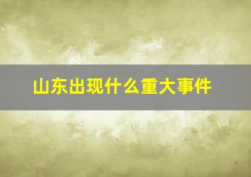 山东出现什么重大事件