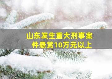 山东发生重大刑事案件悬赏10万元以上