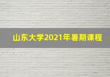 山东大学2021年暑期课程