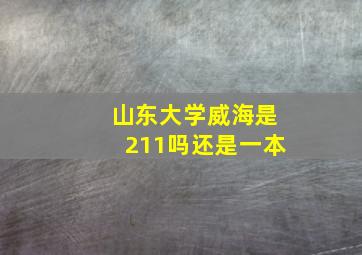 山东大学威海是211吗还是一本