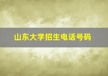 山东大学招生电话号码