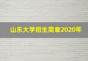 山东大学招生简章2020年