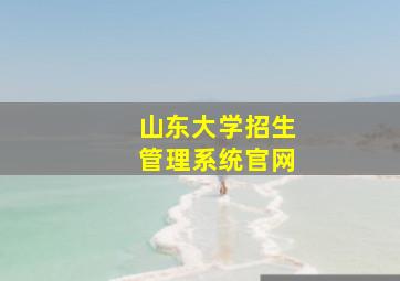 山东大学招生管理系统官网