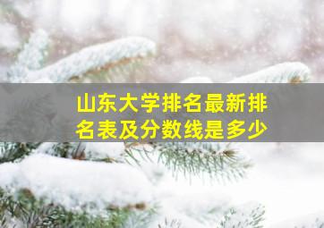 山东大学排名最新排名表及分数线是多少