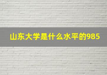 山东大学是什么水平的985