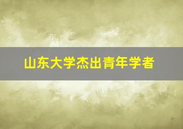 山东大学杰出青年学者