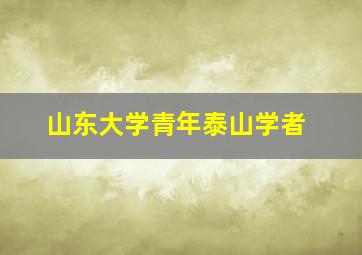 山东大学青年泰山学者