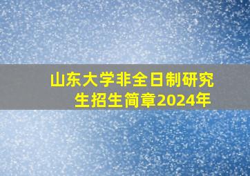 山东大学非全日制研究生招生简章2024年