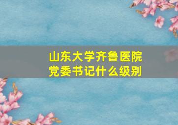 山东大学齐鲁医院党委书记什么级别