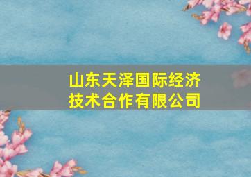 山东天泽国际经济技术合作有限公司