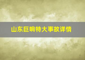 山东巨响特大事故详情