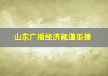 山东广播经济频道重播