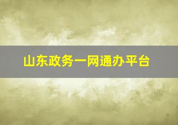 山东政务一网通办平台