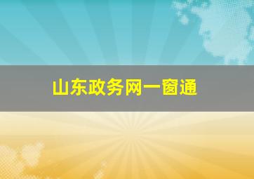 山东政务网一窗通