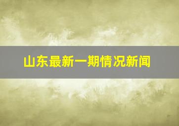 山东最新一期情况新闻