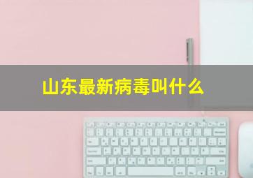 山东最新病毒叫什么