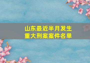 山东最近半月发生重大刑案案件名单