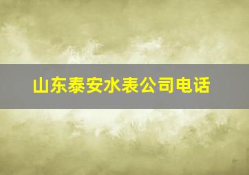 山东泰安水表公司电话