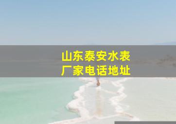 山东泰安水表厂家电话地址